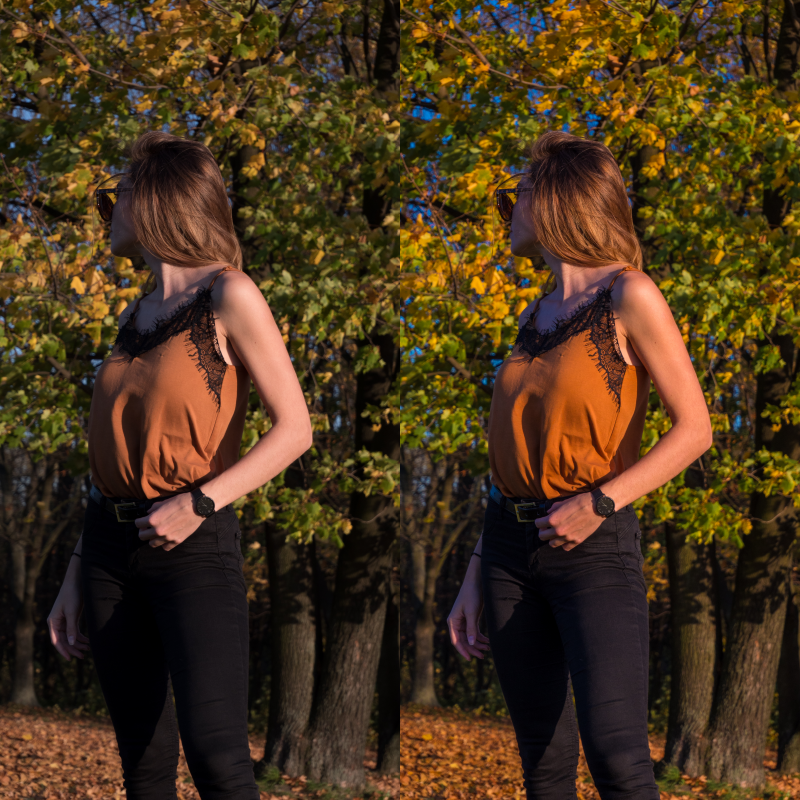 Autumn – Preset Pack